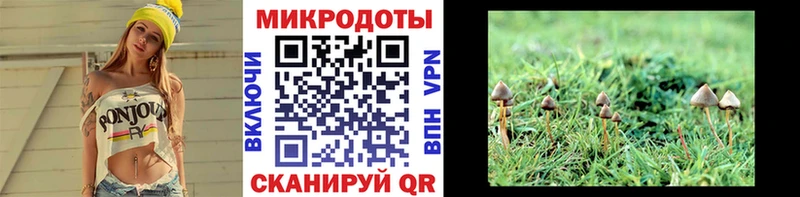 где продают   ссылка на мегу рабочий сайт  это телеграм  Пугачёв  Псилоцибиновые грибы мухоморы 